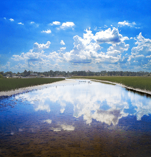 parque de plata uruguay